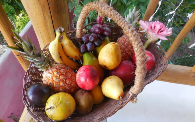 Pousada Jardim das Margaridas