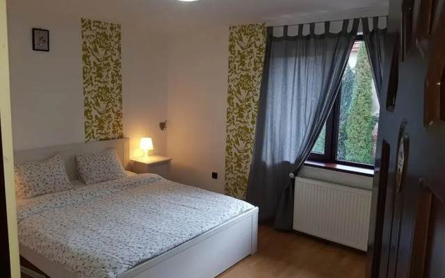 Pensiunea Bergwald Rasnov by BuySellRent