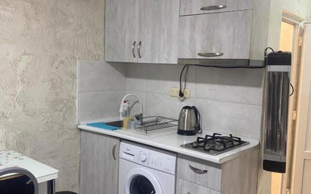 Apartment studio maksim