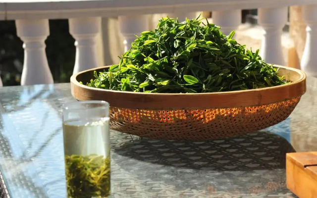 Nordic Memory in Tsingtao