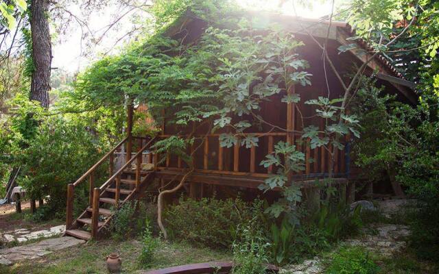 Eskibeyaz/Olympos