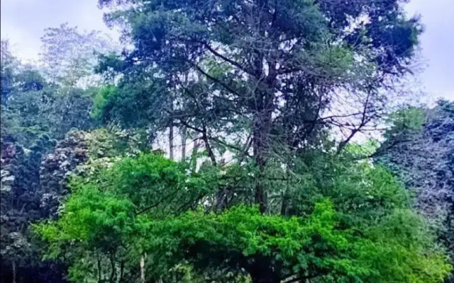 Studio 4 Churchill Lane Apartment