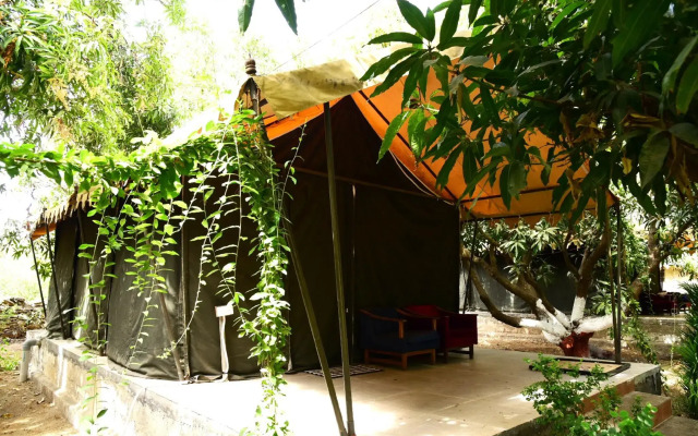 Gir County Home Stay