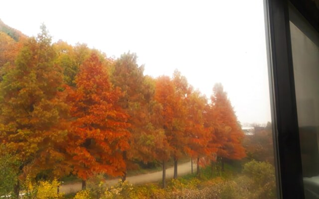Paju Yemak Art Hall Pension