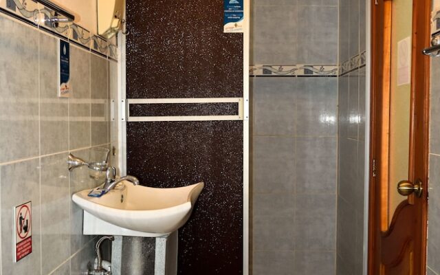 Flightless Cormorant