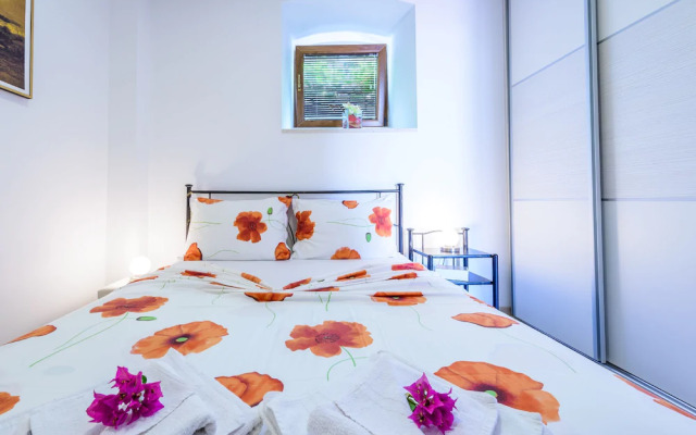 Apartments None Nono