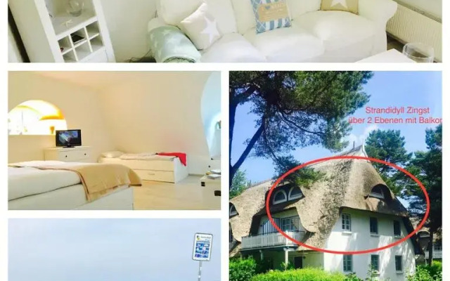 Maisonette-Fewo unter Reet, 50m zum Meer, Strandidyll Zingst