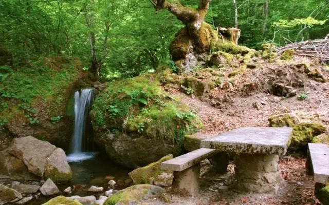 Camping El Cares Picos de Europa