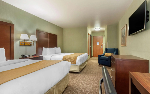 Comfort Inn & Suites Mitchell I-90