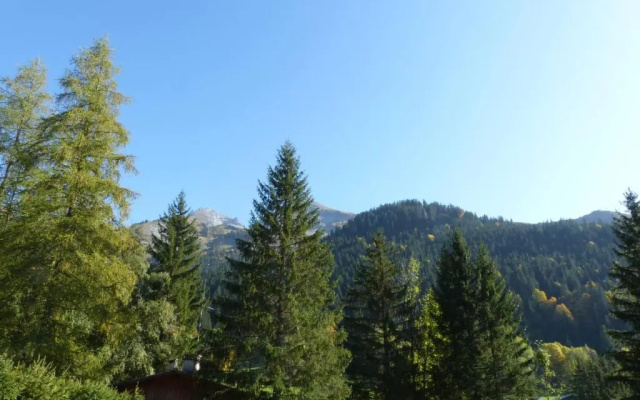 Appartement La Clusaz, 2 pièces, 4 personnes - FR-1-437-68