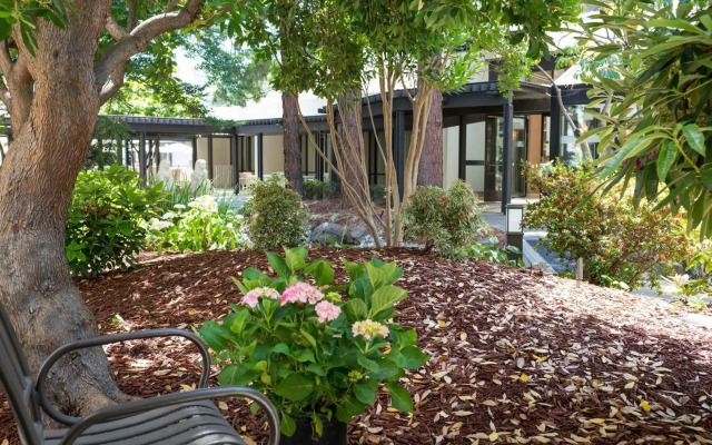 Sheraton Palo Alto Hotel