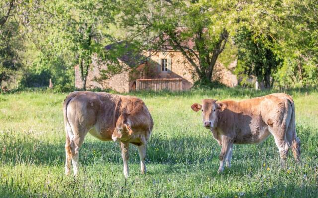 Rustic Holiday Home in Loubejac with Jacuzzi