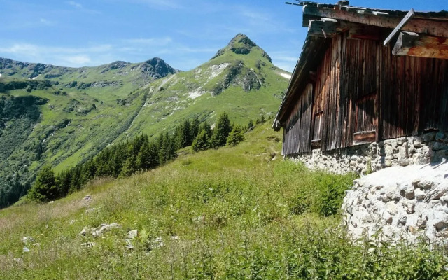 Spacious Chalet near Ski Area in Saalbach-Hinterglemm