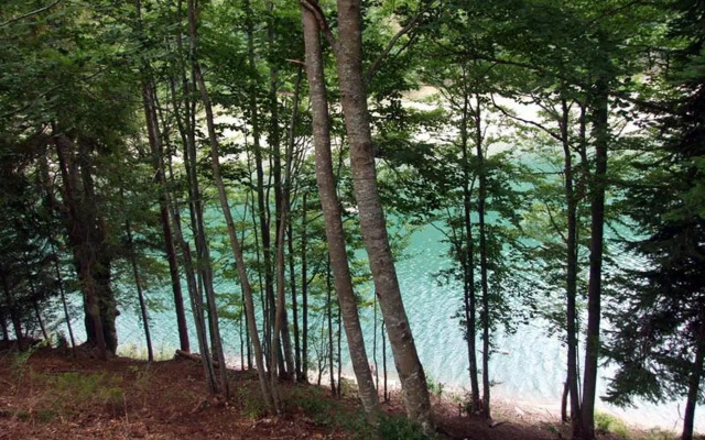 Big and Little Heaven Apartments