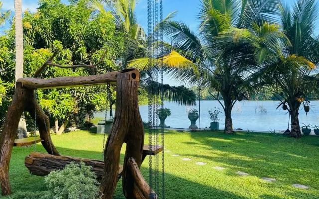 Morning Guest can see Momkeyies and Birds