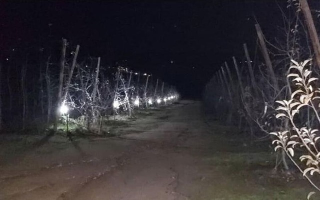 Quinta da Cabrida Douro