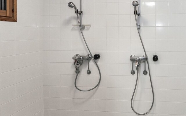 Koivu Vesala in Vesala