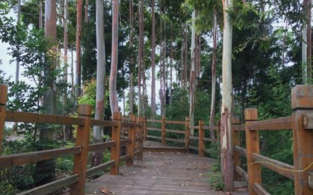 Jinfeng Hotel