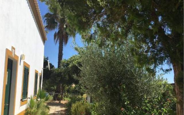 Apartamentos Cardo