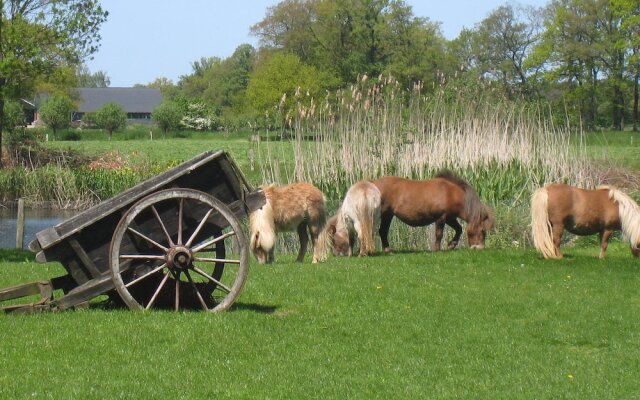 Chic Farmhouse at Overijssel With a Trampoline
