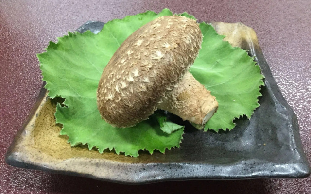 Kutsurogian