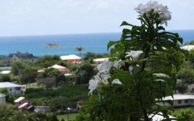 Holiday Home Belvedere