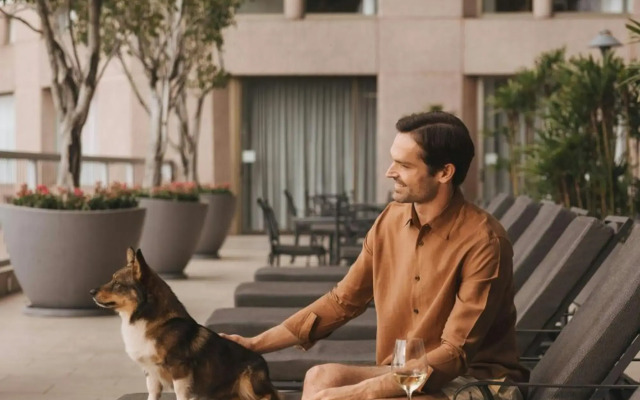 JW Marriott Hotel Mexico City Polanco