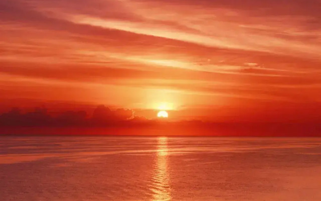 Villa Molletta a Punta Ala con Piscina