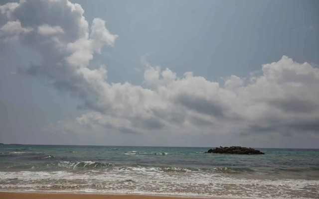 King Jason Zante – Adults Only