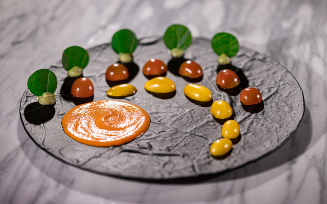 Palmaïa-The House of AïA: All Inclusive Wellness Resort