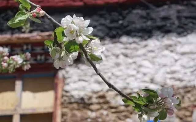 shanjian•huayu coffee Hostel