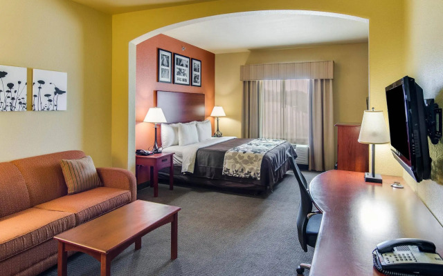 Sleep Inn & Suites Tyler South