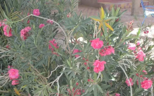 Kasbah La Palmeraie