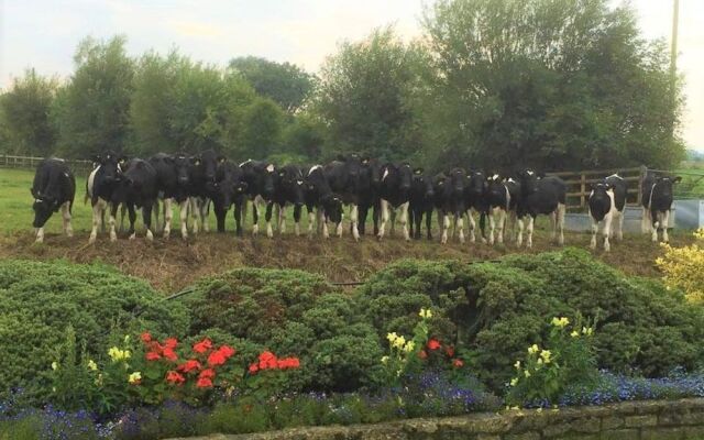 Double-gate Farm