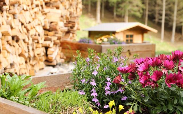 Chalet Nel Doch Villa Cheia