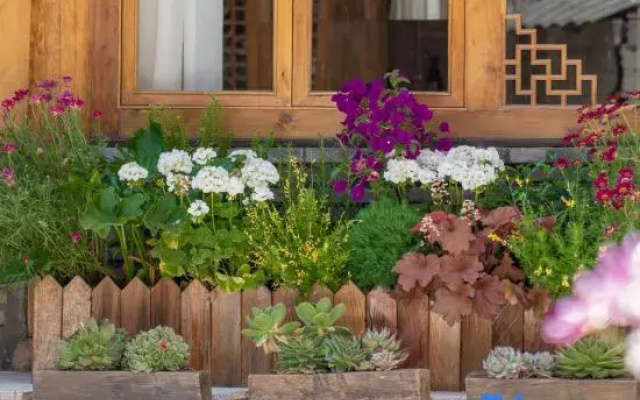 Mu Chuyang · Courtyard | Garden Secret Realm Aesthetics, Life, Travel, and Accommodation