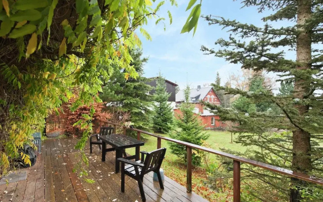 Luxury Cottage in Grunbach Saxony near Lake