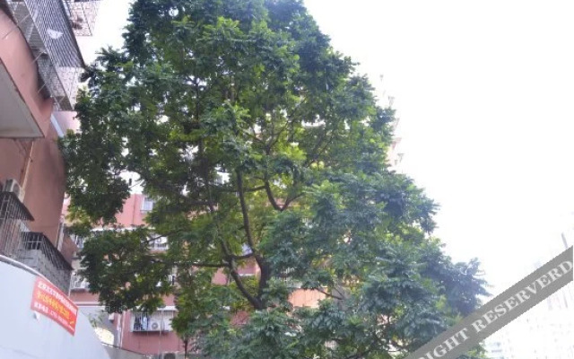 Tea Trip Hostel