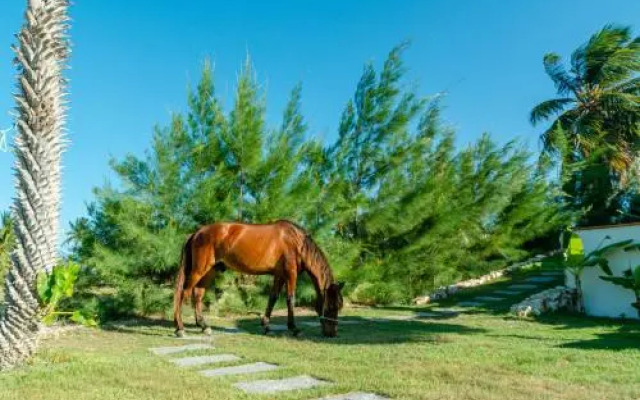 Pousada Pura Vida Club Brasil