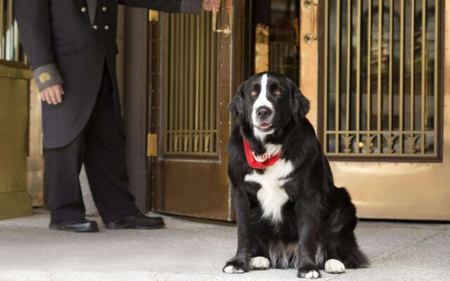 Fairmont Le Chateau Frontenac