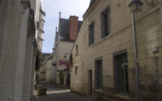 Nature & Chateaux à Chinon