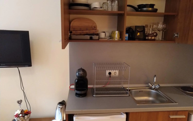 Studio Villa Park 207