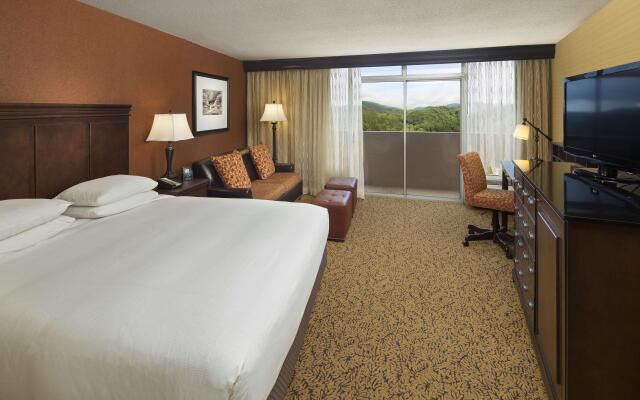 The Park Vista - a DoubleTree by Hilton Hotel - Gatlinburg