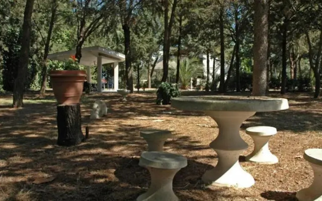 La pineta di Jovia