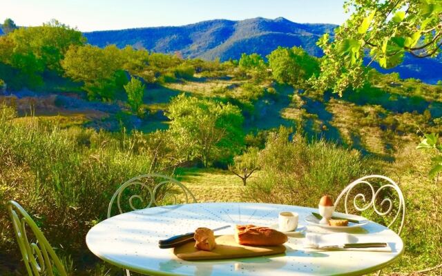 Wild Boar Mountain - France