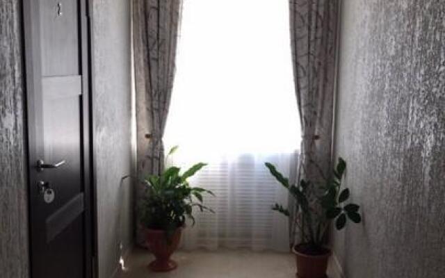 Луза (бывш. Объячево)