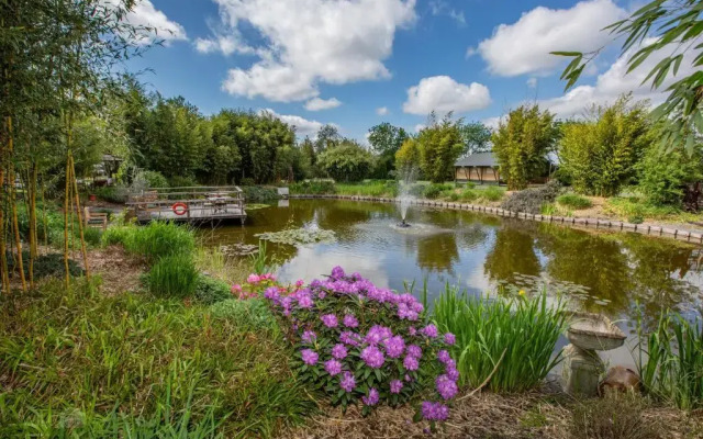 Romala's Home 1 en 2