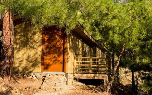 Tree Houses