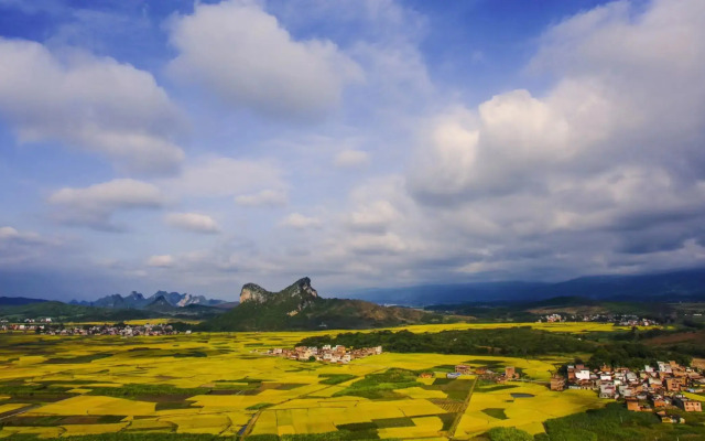 Poltton International Server Apartment(铂顿国际公寓（象州梦幻夜金象路店）)