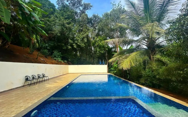 Young Island - Coorg